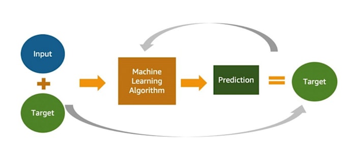 I create bespoke artificial intelligence systems