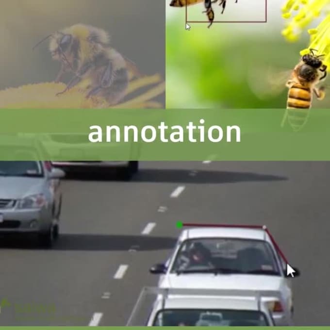 I provide services for image annotation, labeling, and dataset collection essential for machine learning and computer vision projects