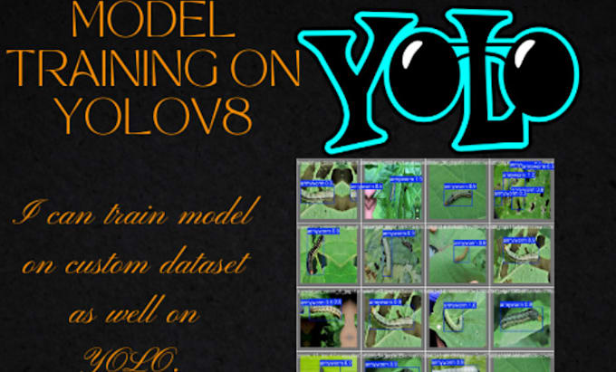 I will create an object detection model utilizing YOLO technology for your project