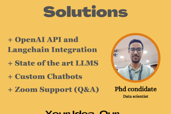 I offer custom integration of large language models using LangChain for your specific application needs