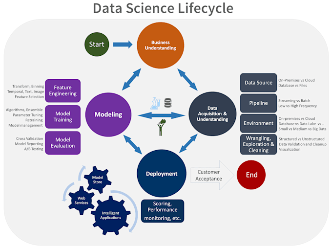 I offer services for data science and artificial intelligence capstone projects