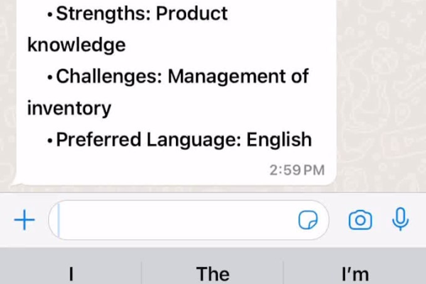 I develop AI-powered chatbots for WhatsApp and Telegram using programming and APIs