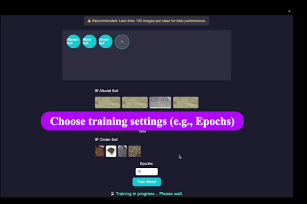 I will develop a bespoke artificial intelligence model utilizing your data